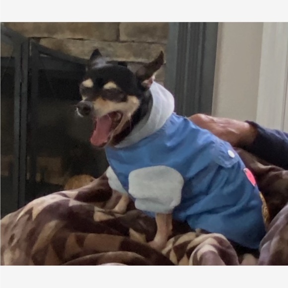 Coco portrait - Picture 3 of 5